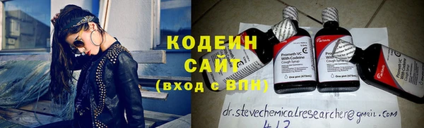 молекула духа Богородицк