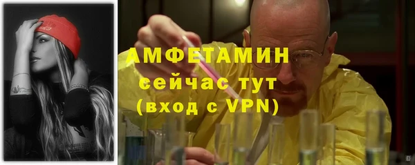 амф Богданович