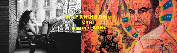 молекула духа Богородицк