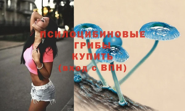 а пвп мука Тында