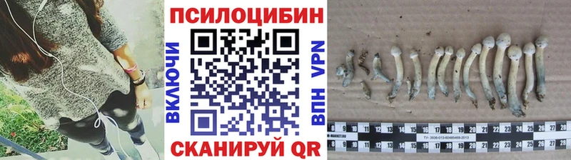 Псилоцибиновые грибы MAGIC MUSHROOMS  купить закладку  Буйнакск 